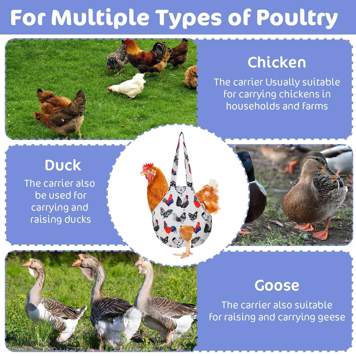 White poultry carrier sling with rooster and chicken print, shown with hen and duck
