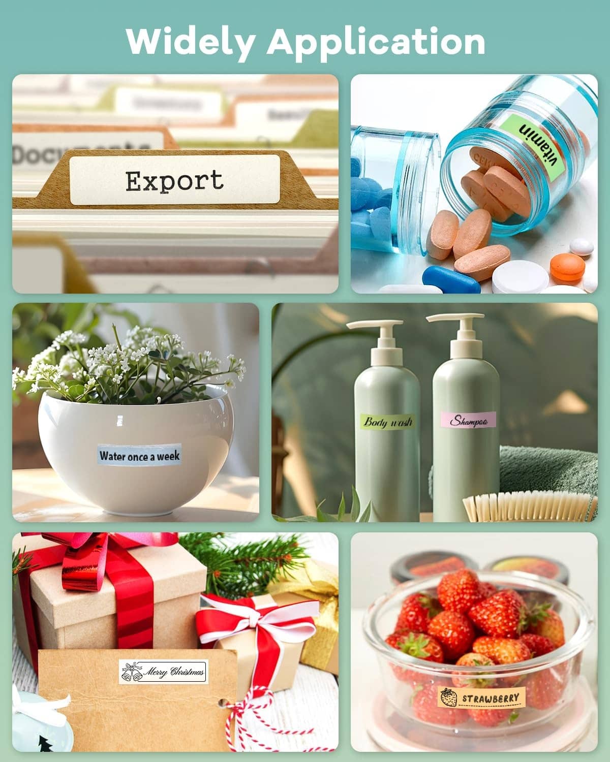 Label maker app widely application screen with export, pantry, bathroom, gift, food labels