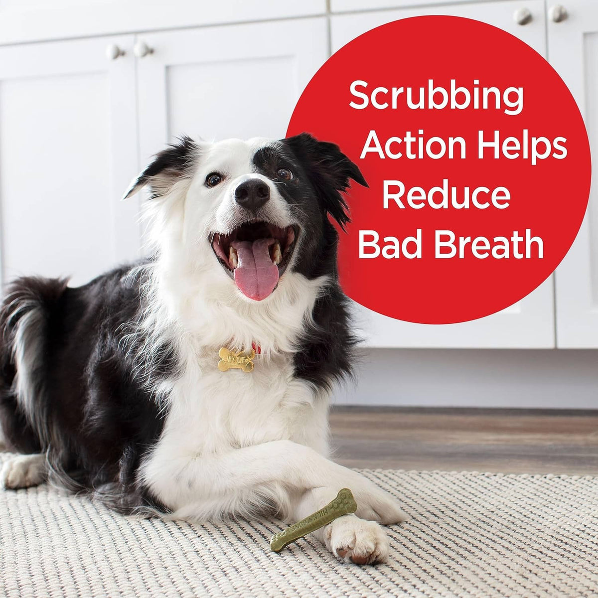 Dog lying next to a bone-shaped dental chew from the brushing chews package