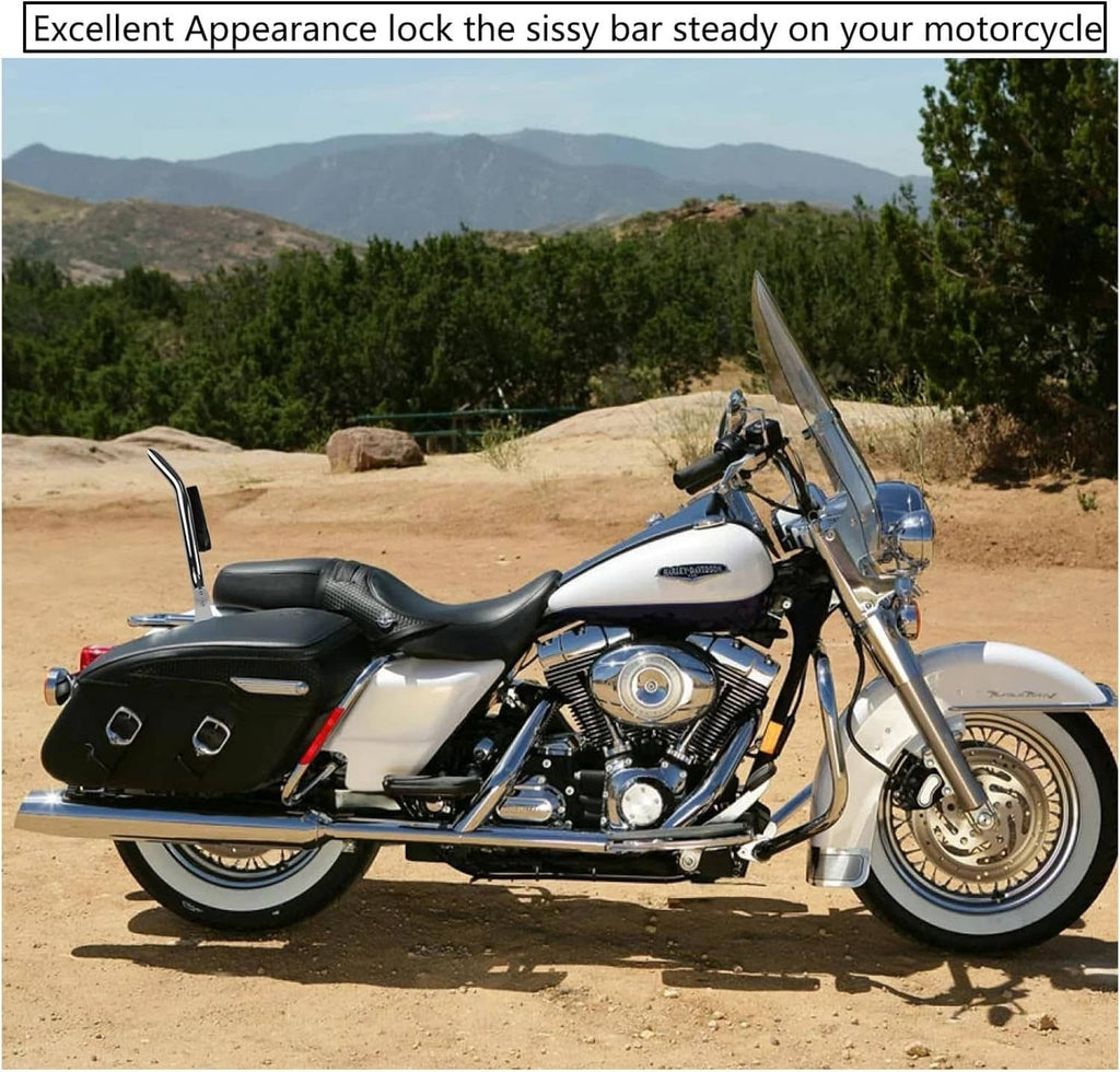 Chrome sissy bar backrest with black pad mounted on a motorcycle