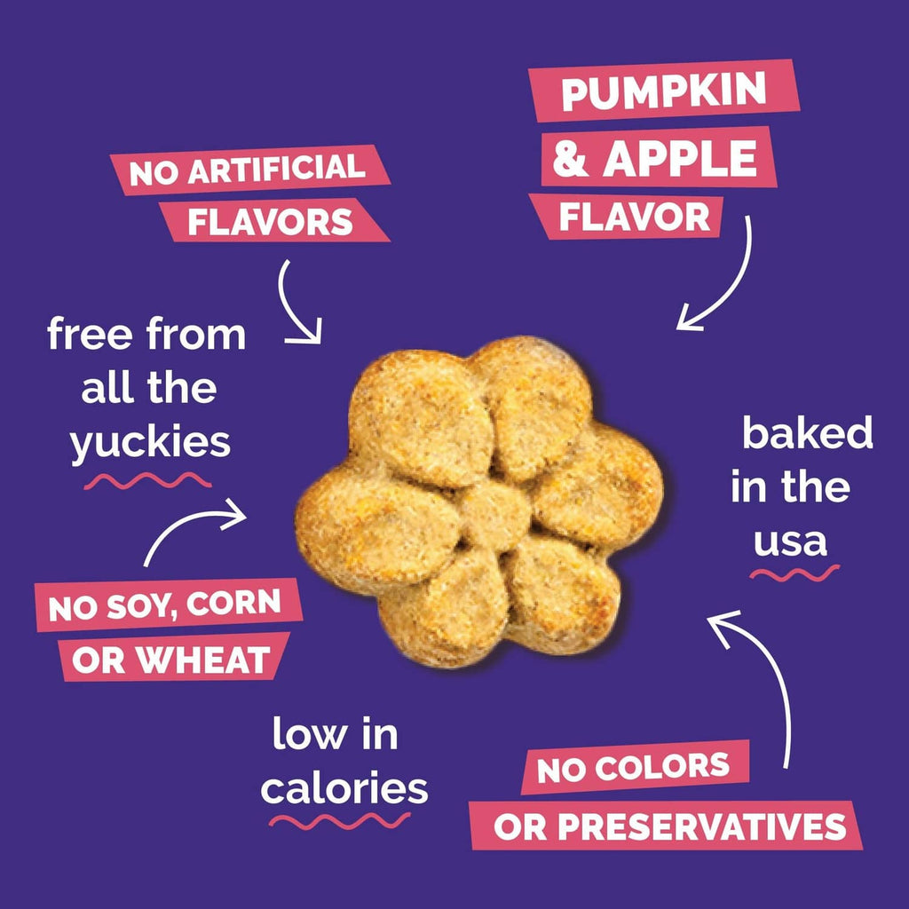 Baked Fruitables dog treats, pumpkin & apple flavor, no artificial flavors