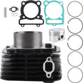Cylinder and gasket top-end rebuild kit parts, including cylinder, piston, and seals