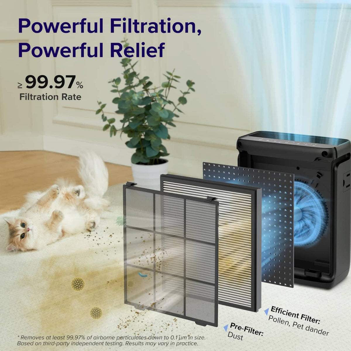 Black Levoit air purifier with visible filter layers and airflow effect near a pet dog.