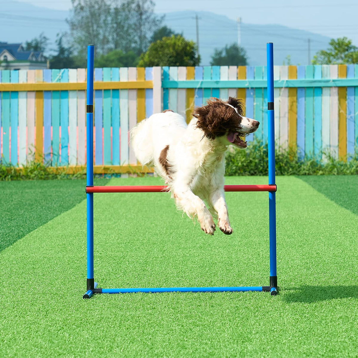 Blue dog agility hoop jump with orange ring and red bar on a field surface
