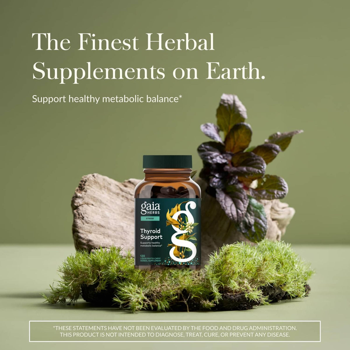 Thyroid Support supplement bottle with green cap and label, with botanical elements