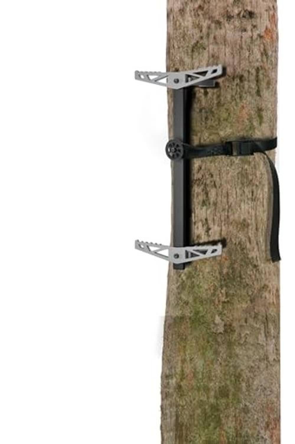 Climbing sticks mounted on a tree trunk with silver non-slip steps and strap