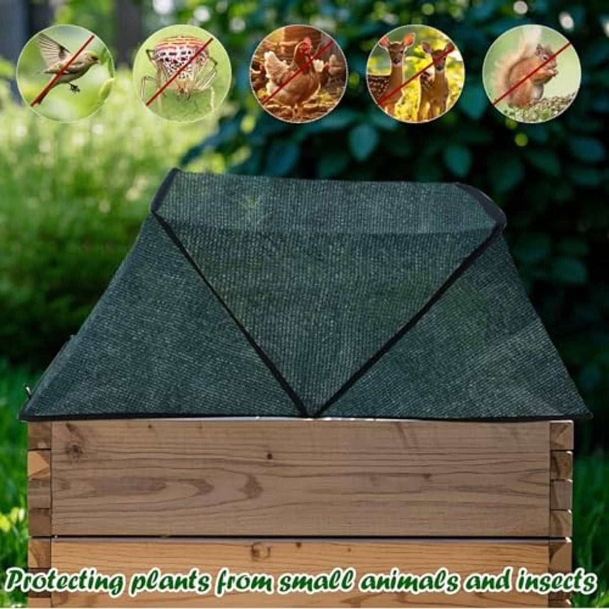 Foldable plant shade tent cover with black-edged frame, on raised wooden bed