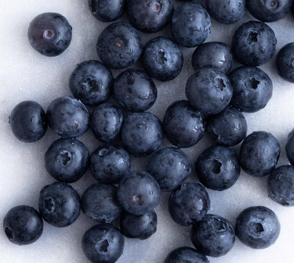 Freeze dried blackcurrants in a pile, dark purple dried berries
