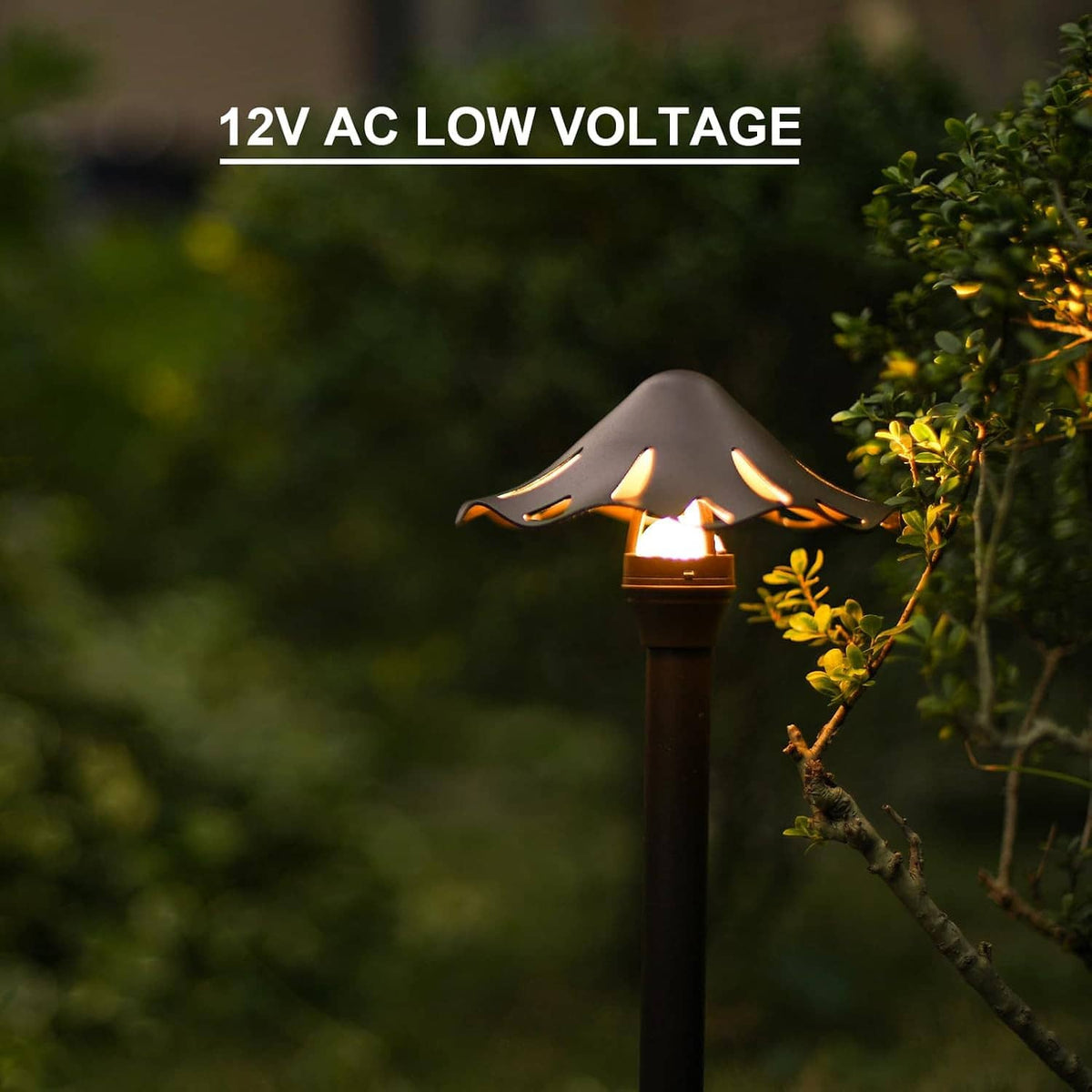 Single lit low-voltage LED pathway light with spike base beside outdoor shrubs
