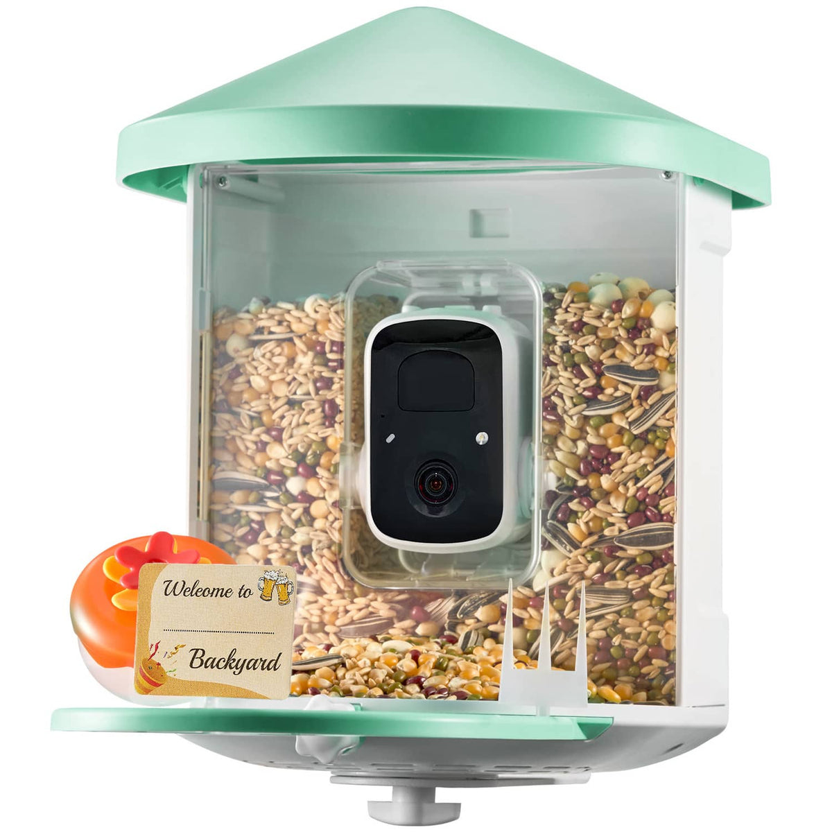 Green bird feeder with central camera module and open seed compartments