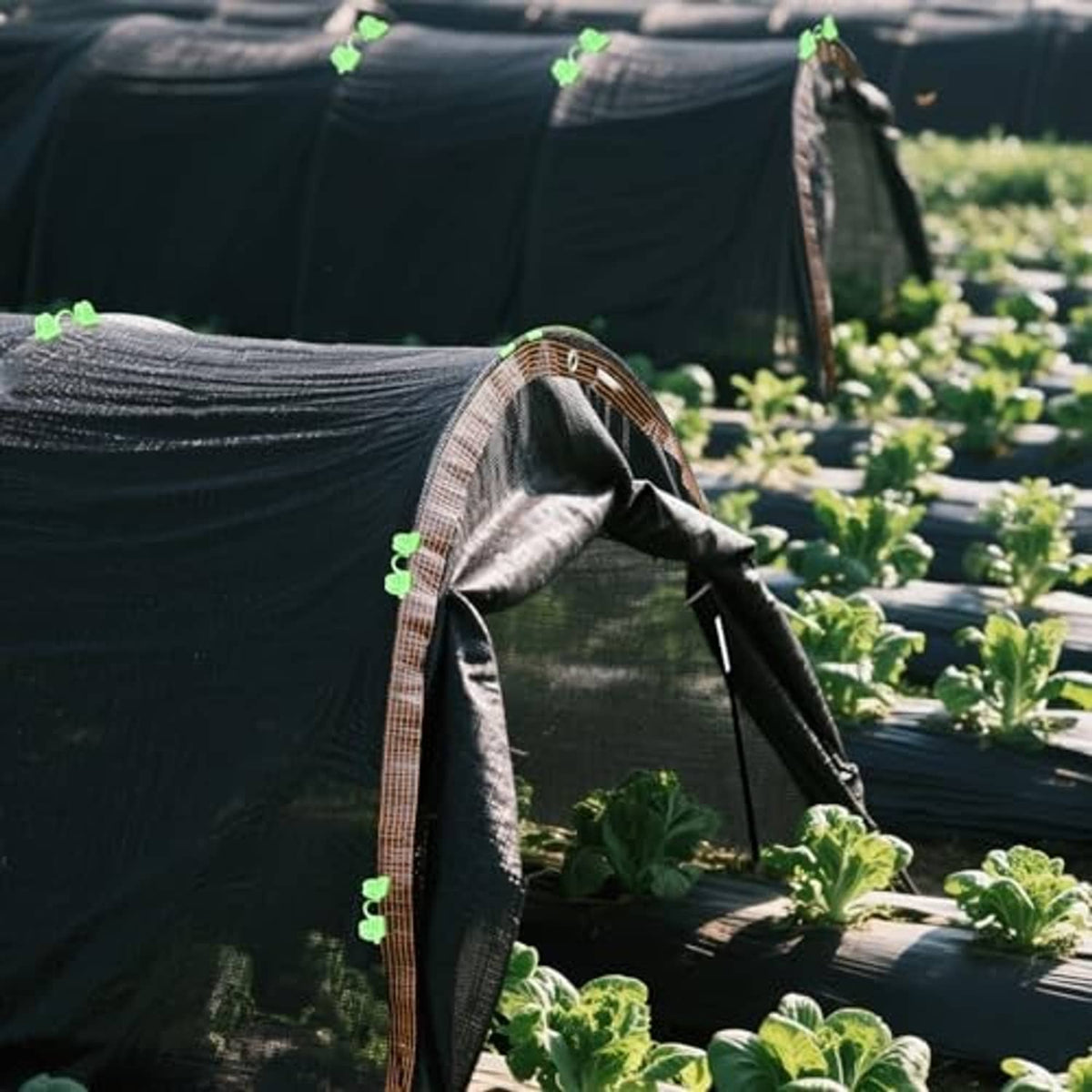 Grey greenhouse hoop shade cloth tunnel end with green clips and curved arch fabric