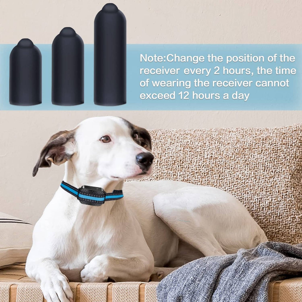 Black rubber shock-collar tips with dog wearing black training collar on couch
