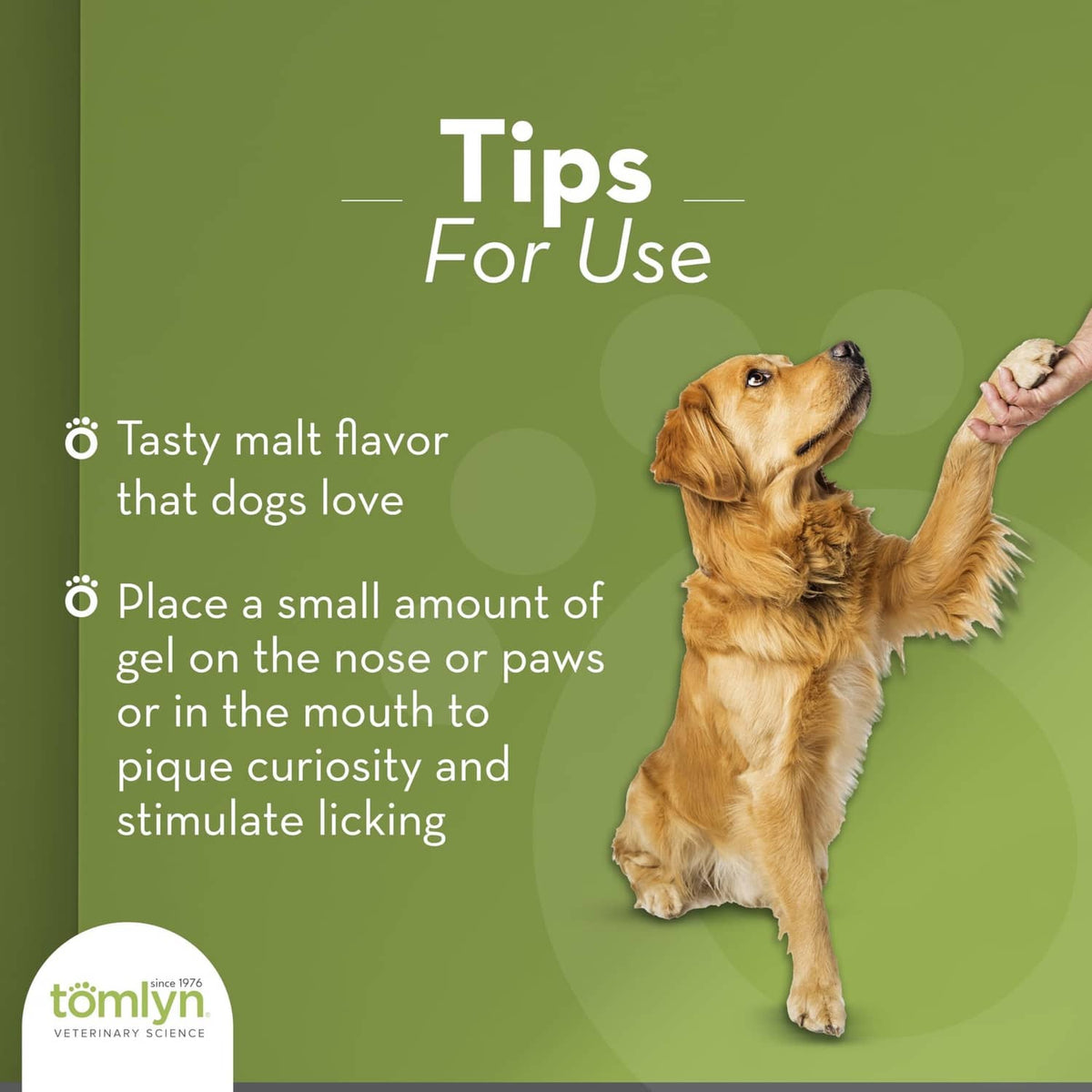 Golden dog beside tips for malt-flavored high-calorie nutritional gel for dogs