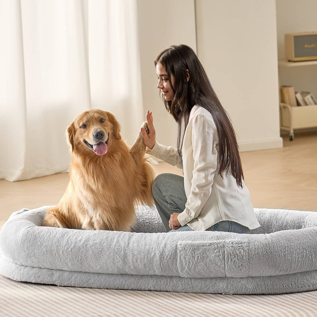 Grey oval human dog bed with soft plush rim, shown with dog and person relaxing.