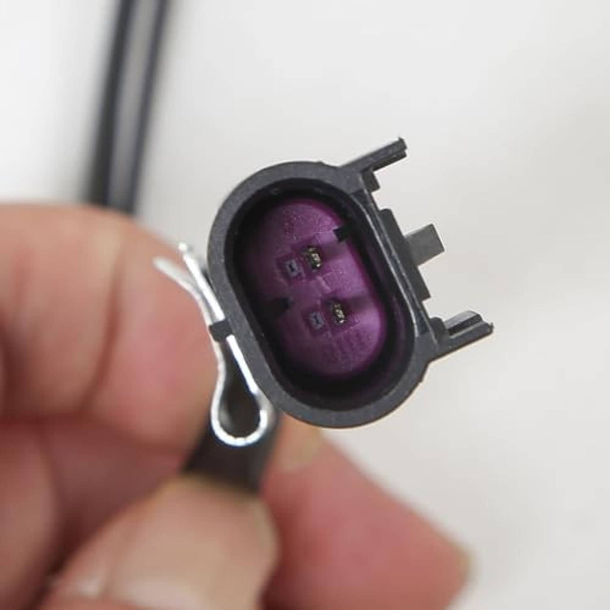 Brake light bulb socket with purple connector and metal contact terminals