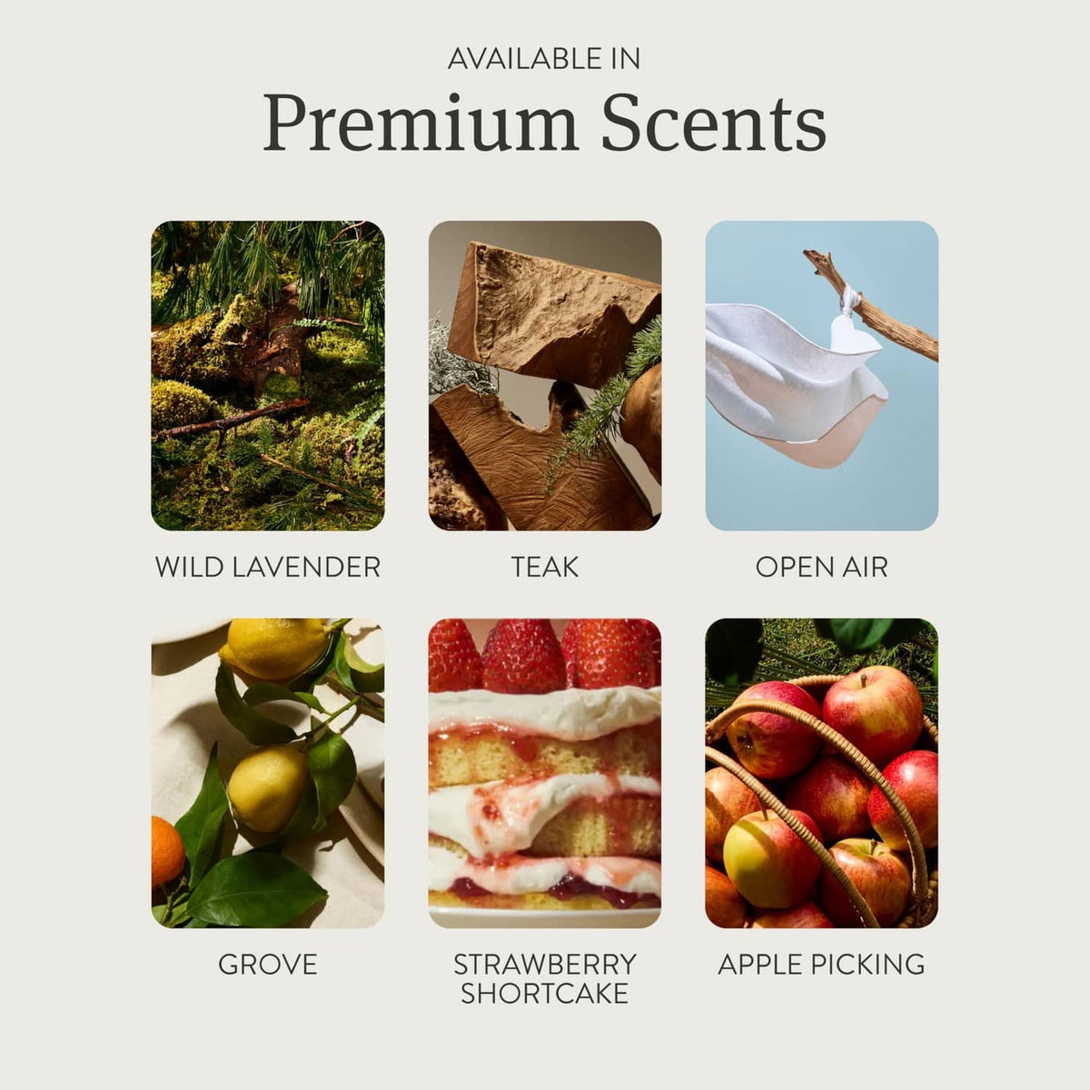 Premium scent selection cards with six fragrance photos: wild lavender, teak, open air