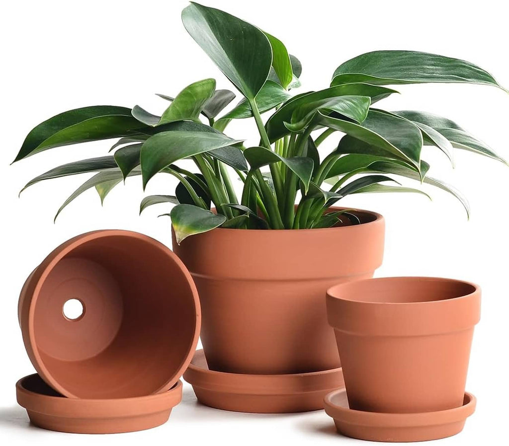 Terracotta ceramic plant pots set with saucers, open planter and matching bases with plant