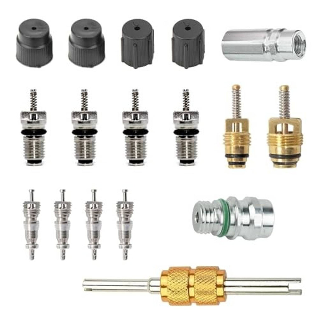 A/C Schrader valve core kit with black caps, valve cores, brass caps, and green-seal tool