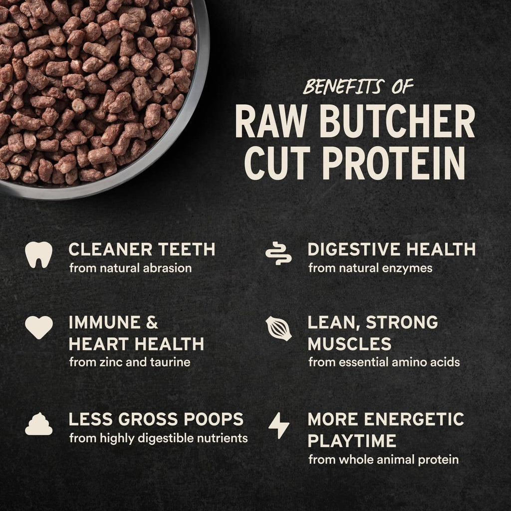 Freeze-dried raw protein kibble benefits graphic with cleaner teeth and digestive health