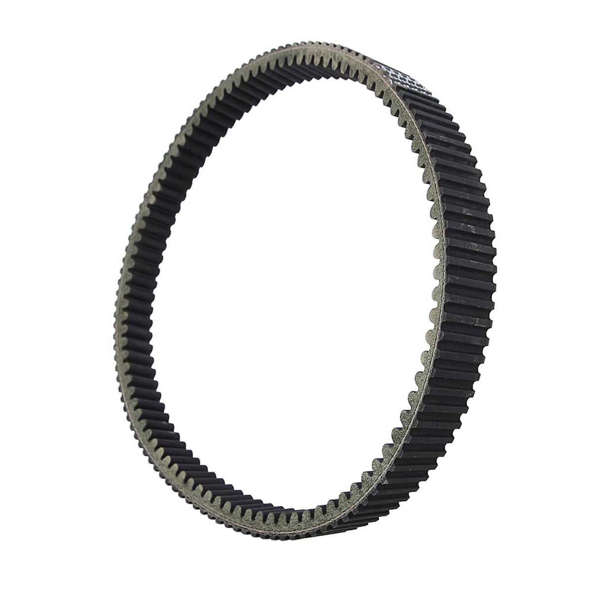 Drive belt loop edge-on view with black ribs and gray traction teeth