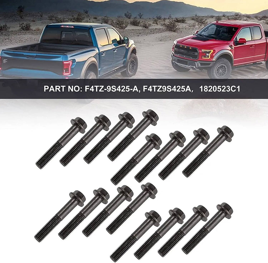 Exhaust manifold bolt kit showing 16 black bolts with hex heads and threads