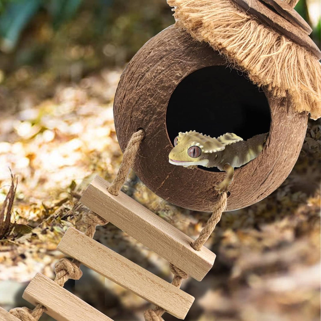Coconut gecko hide with raffia fringe and opening, wooden ladder with green gecko