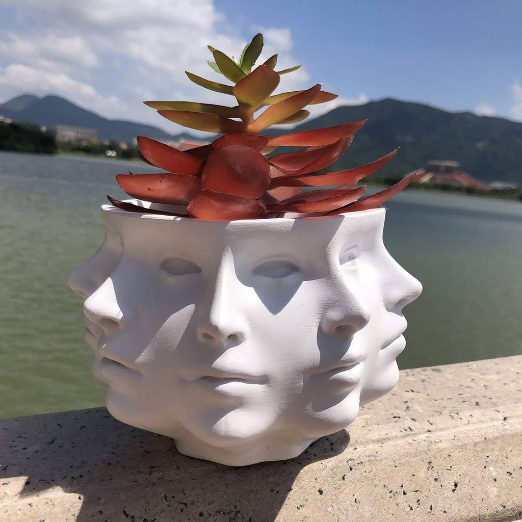White multi-face succulent planter with red and green faux leaves.