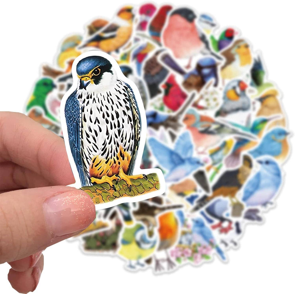 Hand holding a single bird vinyl sticker, detailed blue and white falcon design