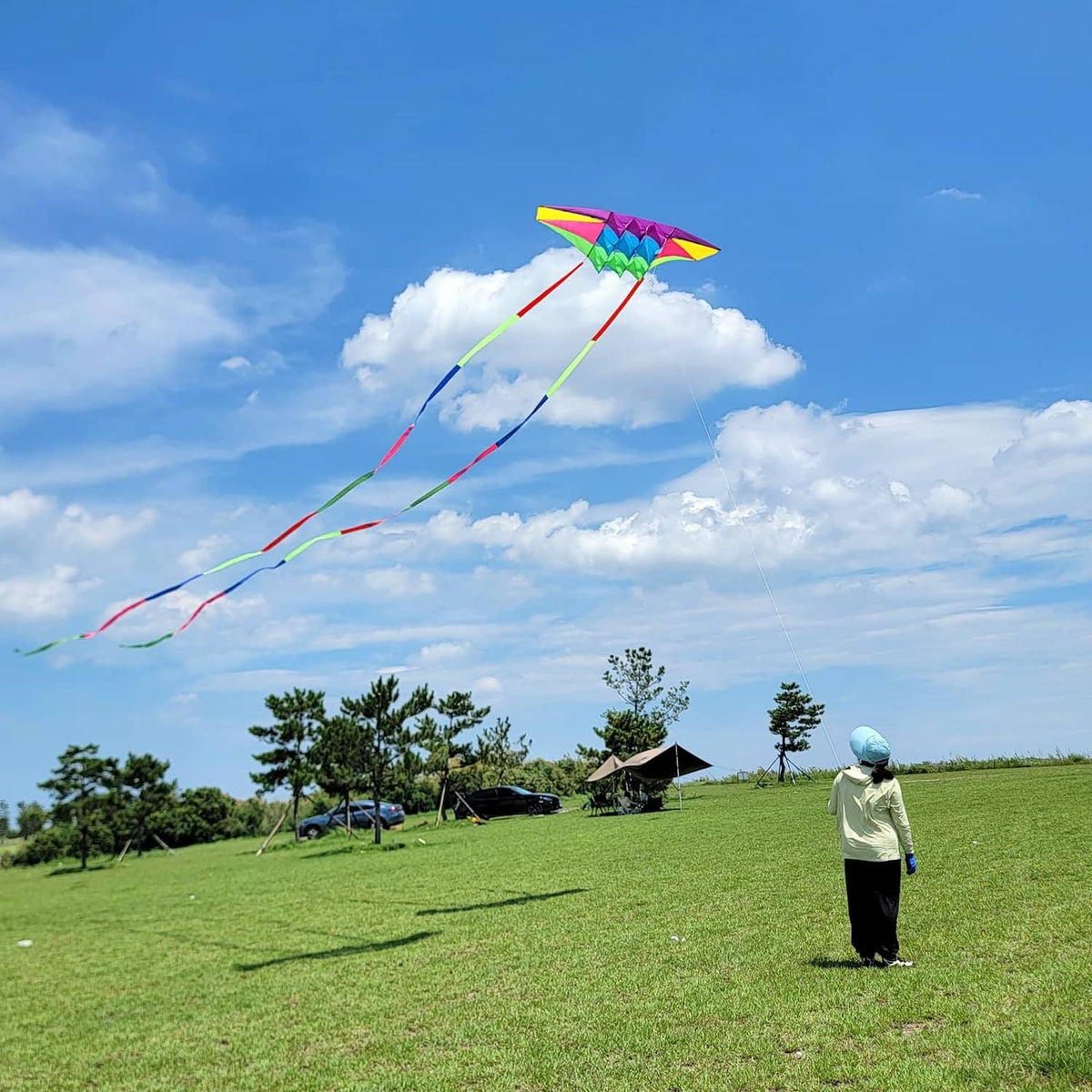Rainbow diamond beach kite with long multicolor tails over open grass