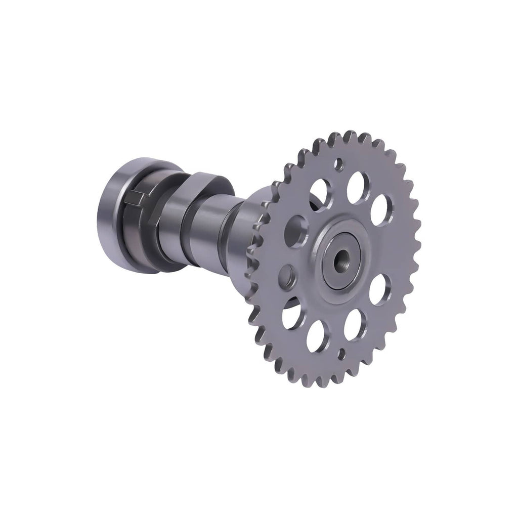 Metal engine cam gear and shaft assembly with toothed wheel, side view