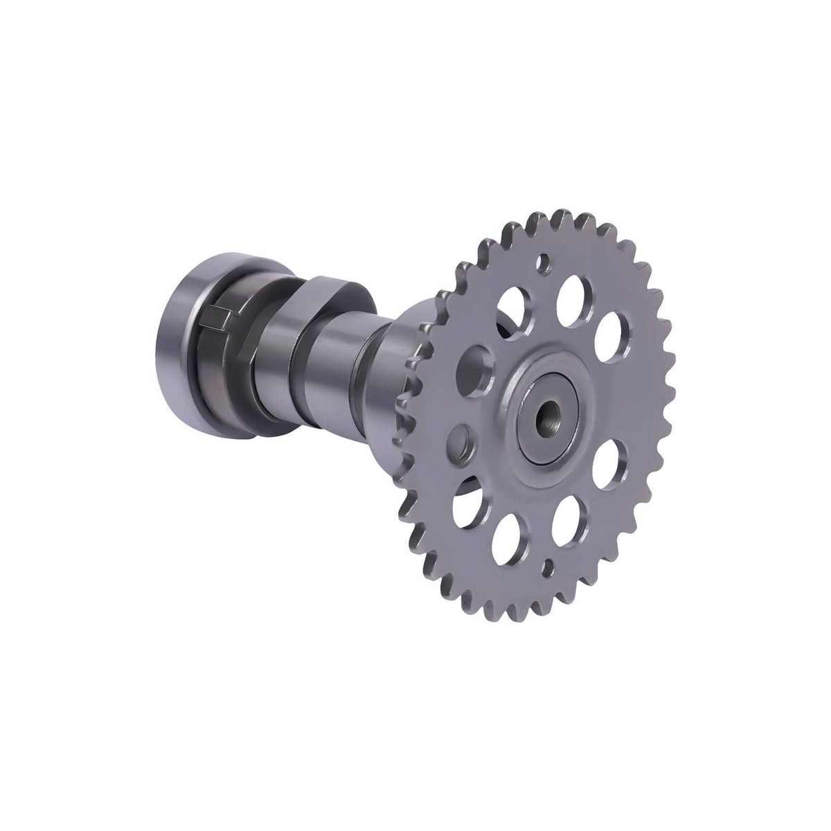 Metal engine cam gear and shaft assembly with toothed wheel, side view