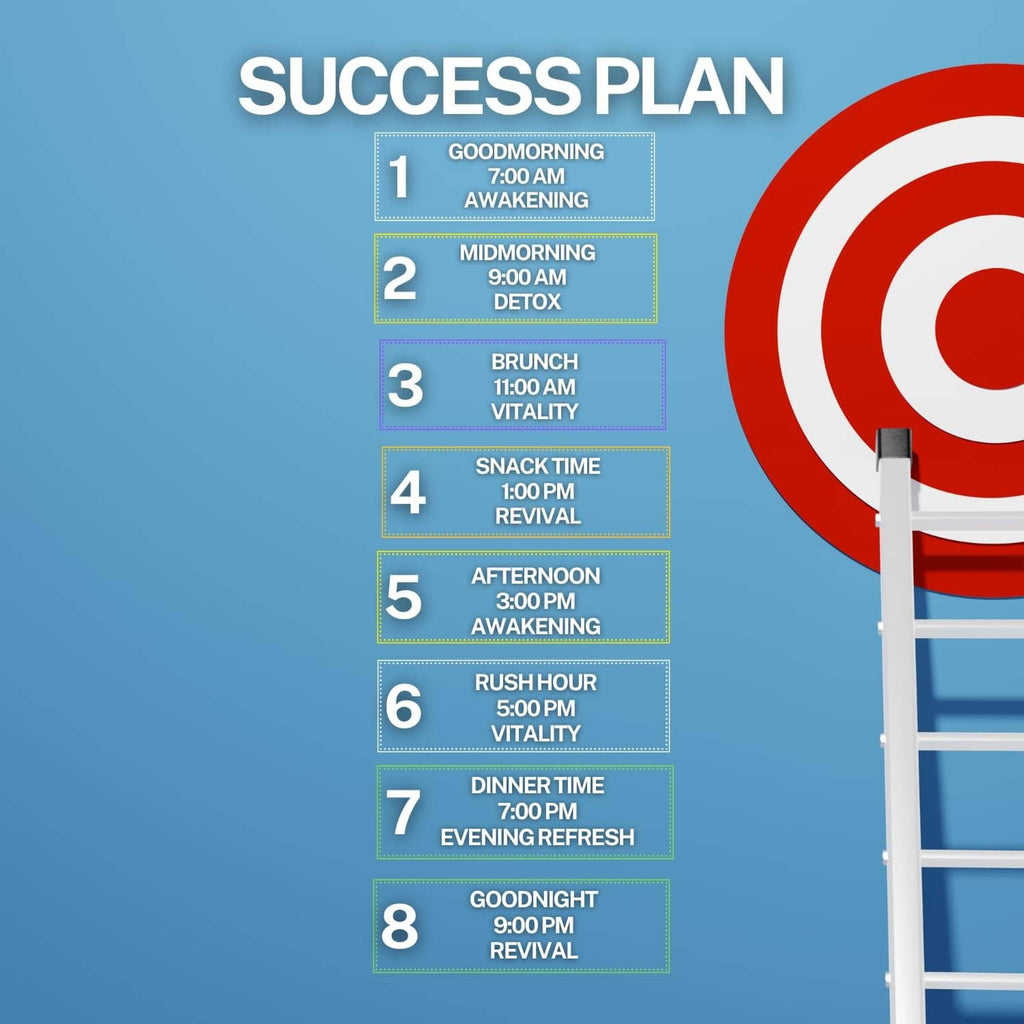 Daily success plan infographic with numbered schedule from morning to evening refresh