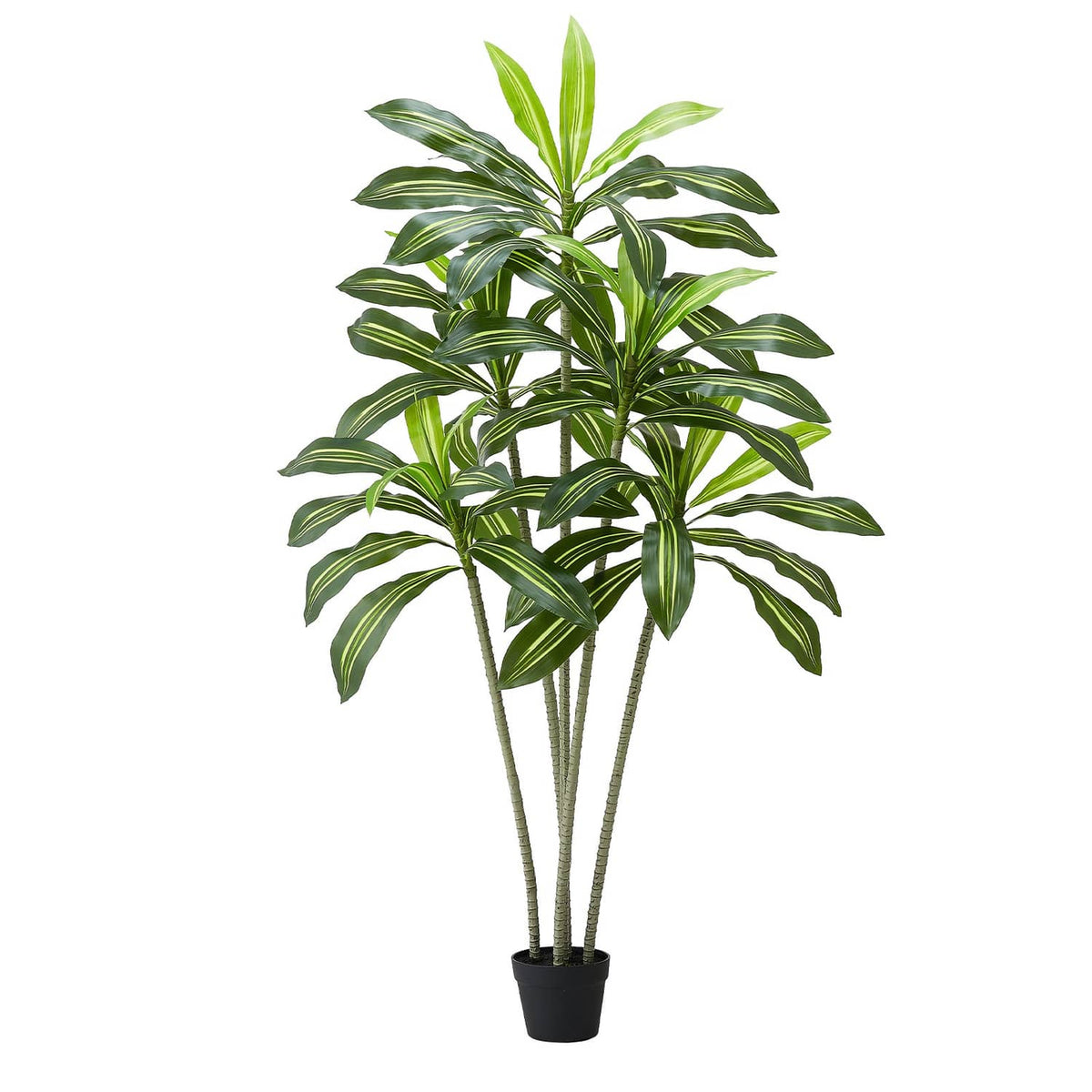 Faux dracaena tree with green leaves in a black pot for indoor decoration