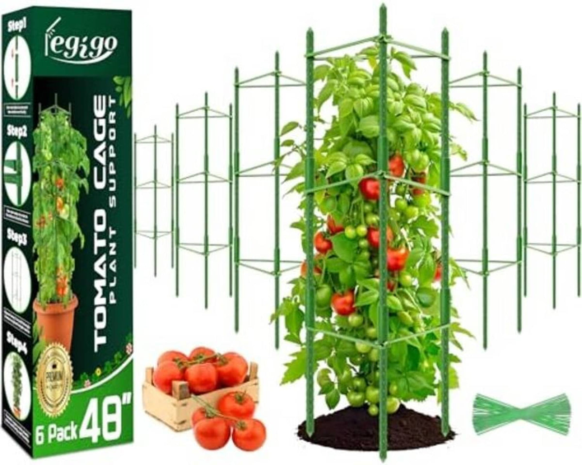 6-pack tomato cage set with tall green stake frames for supporting climbing plants