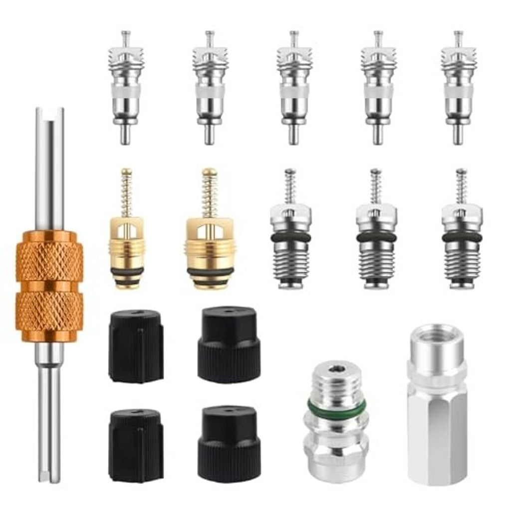 17-piece AC valve core kit: brass and silver valve cores, black caps, removal tools