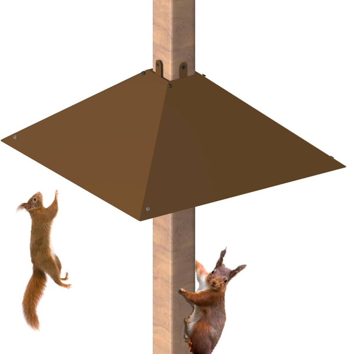 Brown V-shaped metal squirrel baffle with central mounting holes on wooden post