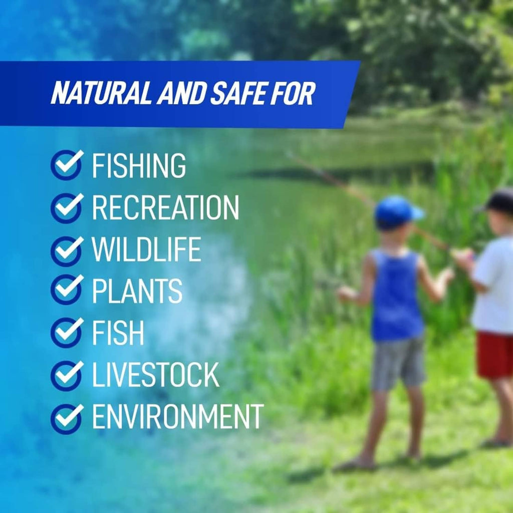 Blue pond dye benefits icons with outdoor pond setting and caretakers holding a bucket.