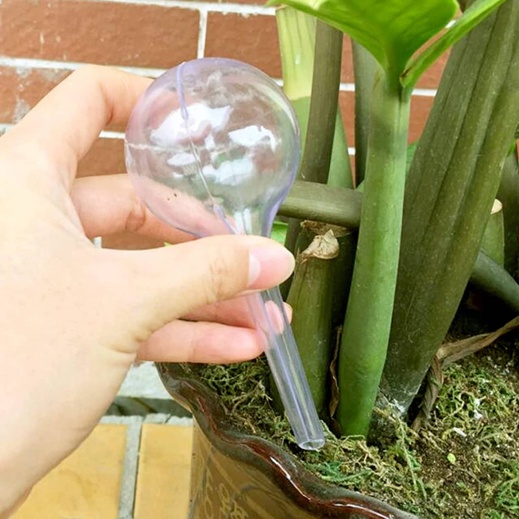 Hand holds a clear plant watering globe inserted into plant soil