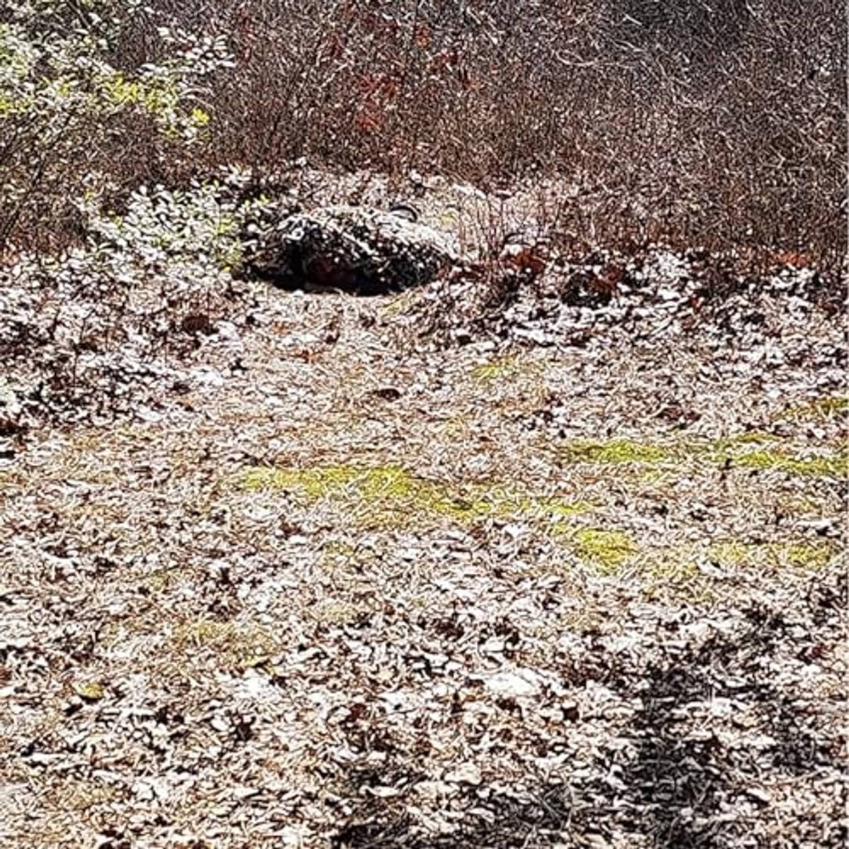 Camouflage netting covering a ground mound with desert digital pixel pattern