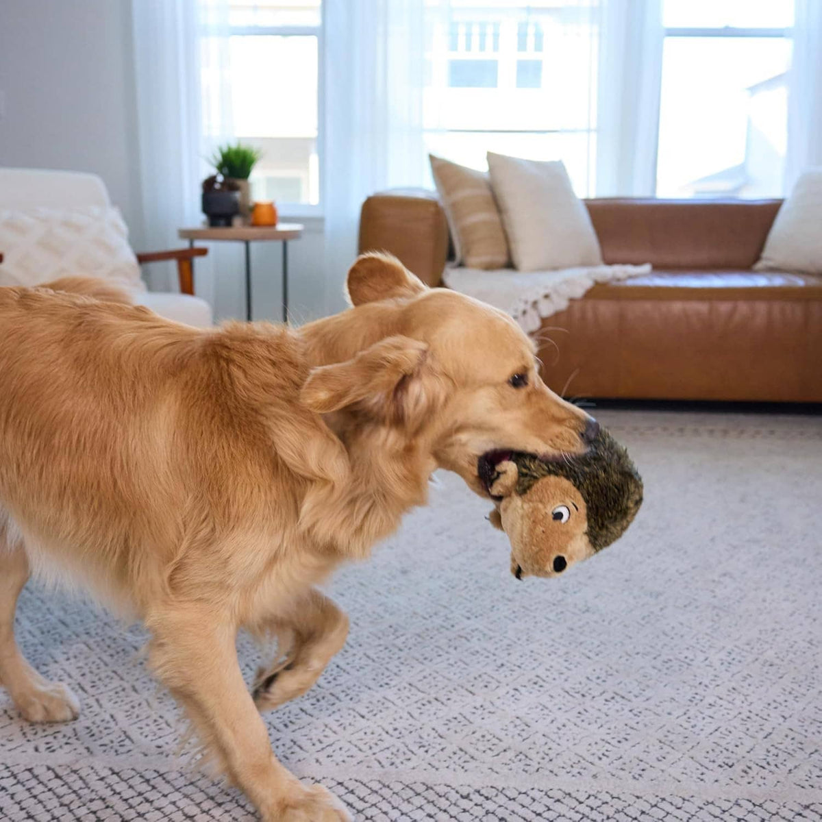 Plush hedgehog toy in a dog's mouth, round spiky body with tan snout