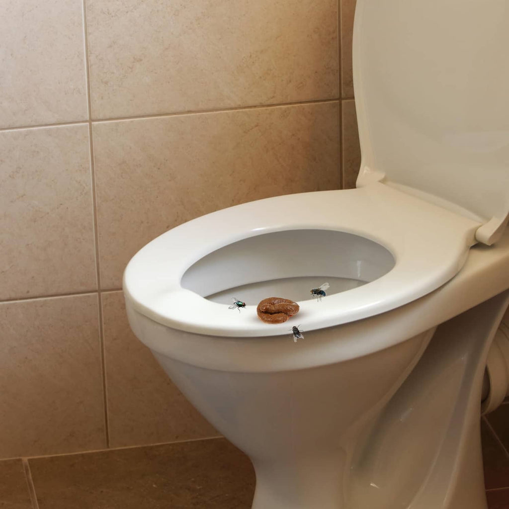 Realistic fake poop prank pieces on a toilet seat