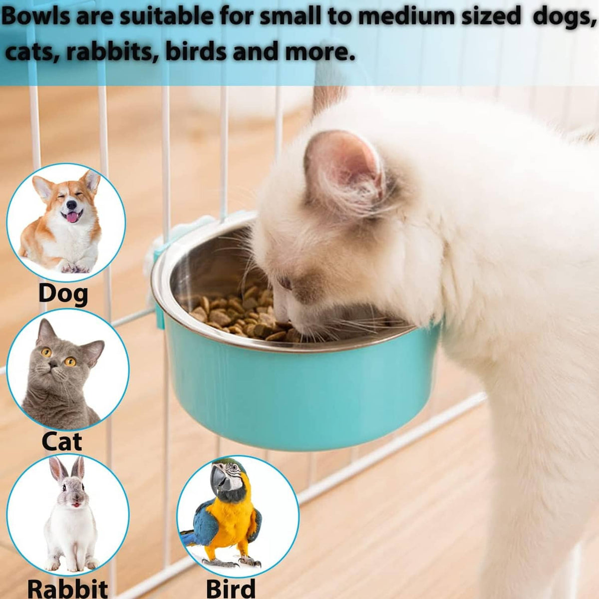 Turquoise hanging pet food bowl with stainless insert filled with kibble