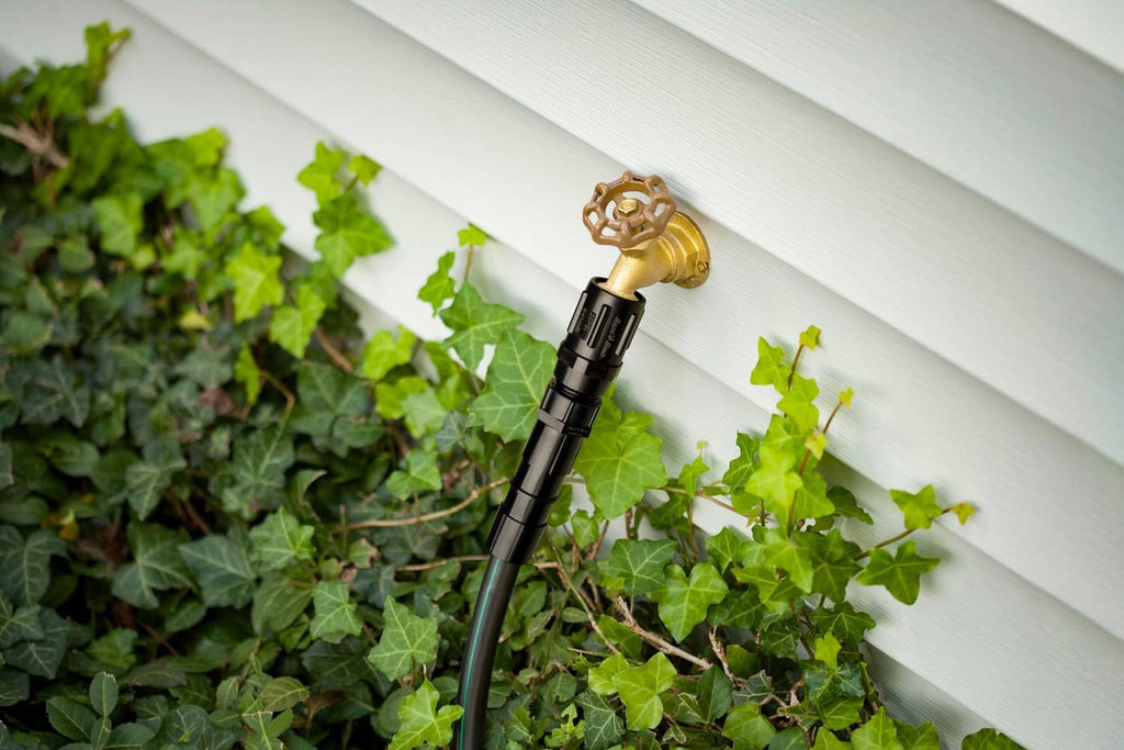 Rain Bird hose-mounted pressure regulator with brass valve near garden leaves