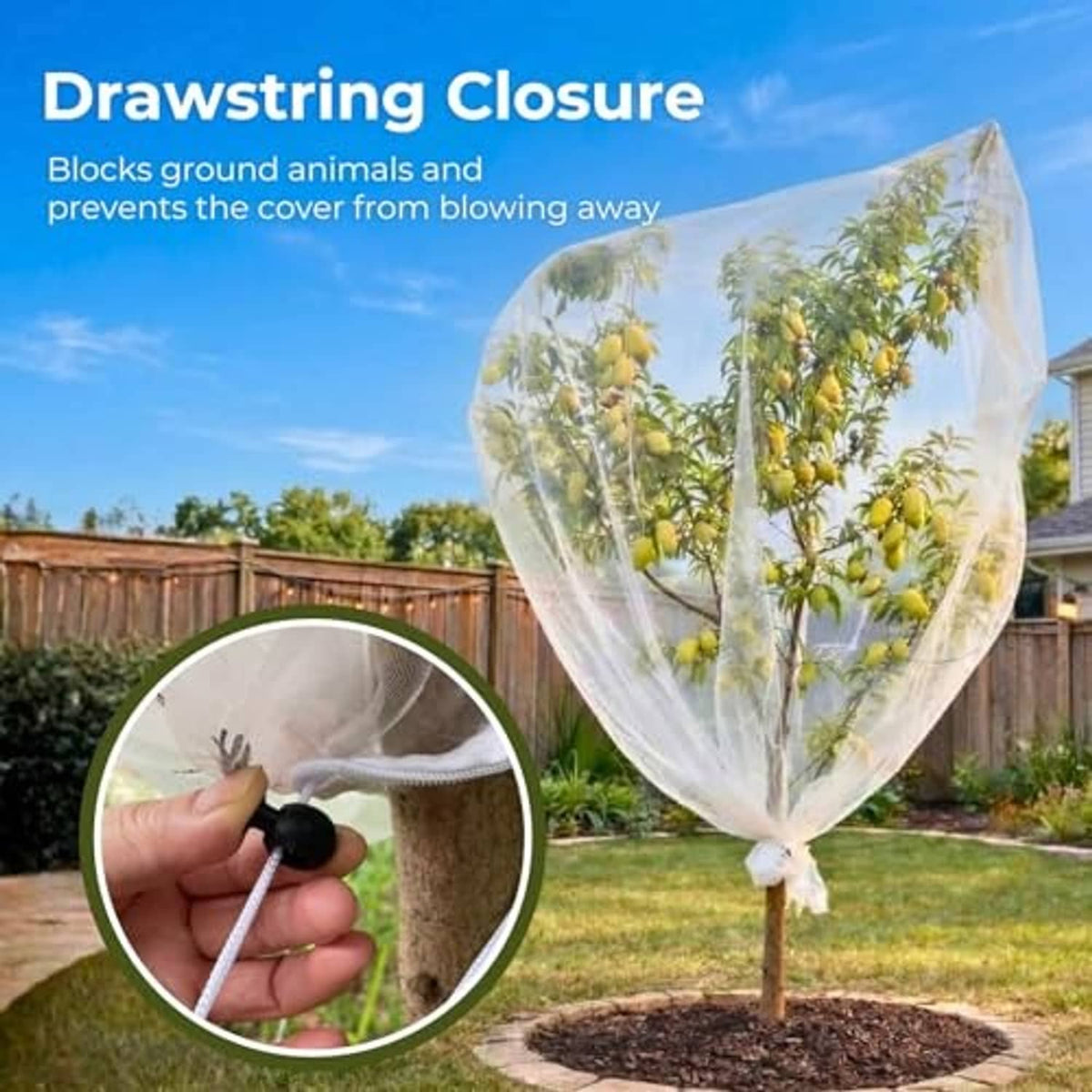 White fruit tree netting cover with drawstring closure, secured around a tree