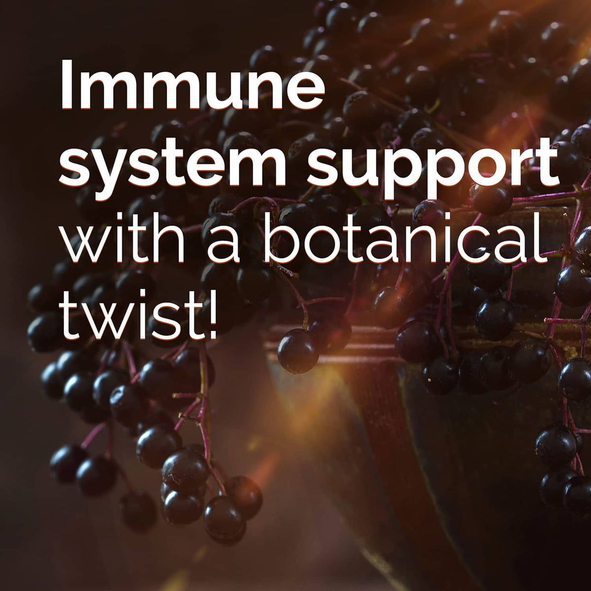 Elderberry berries with text “Immune system support with a botanical twist!”