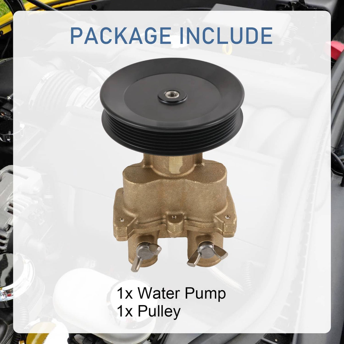 Raw water pump kit with black pulley and brass pump body, product packaging view