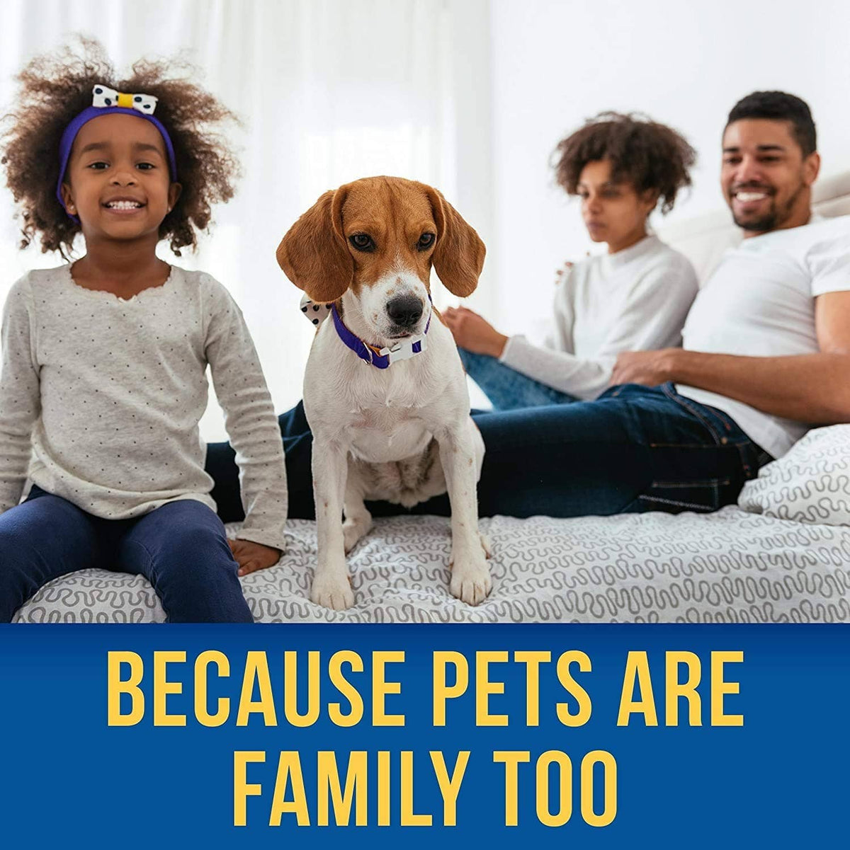 Family on couch with dog, pet lifestyle promotion with child and parents