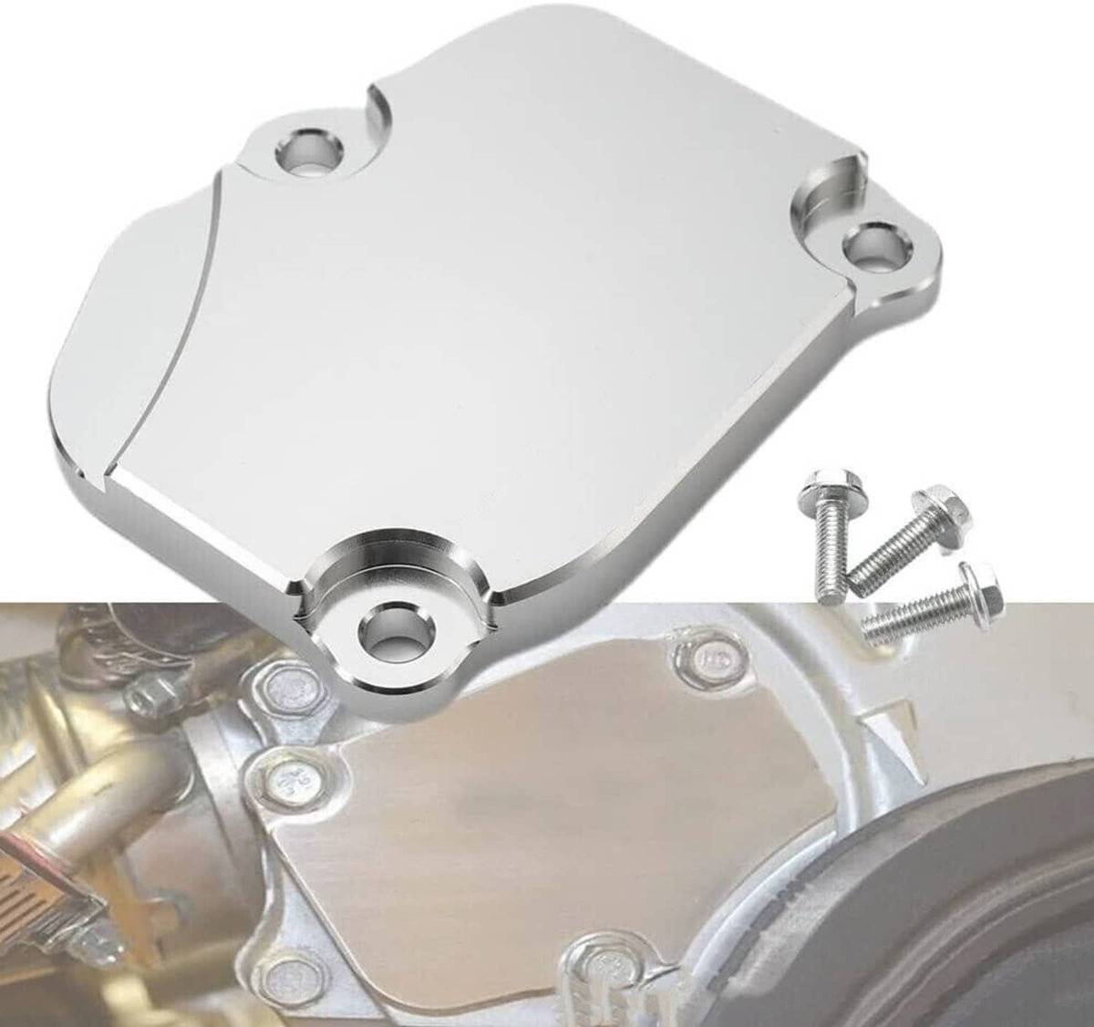 Billet timing cover plate with black gasket seal and included mounting screws, silver