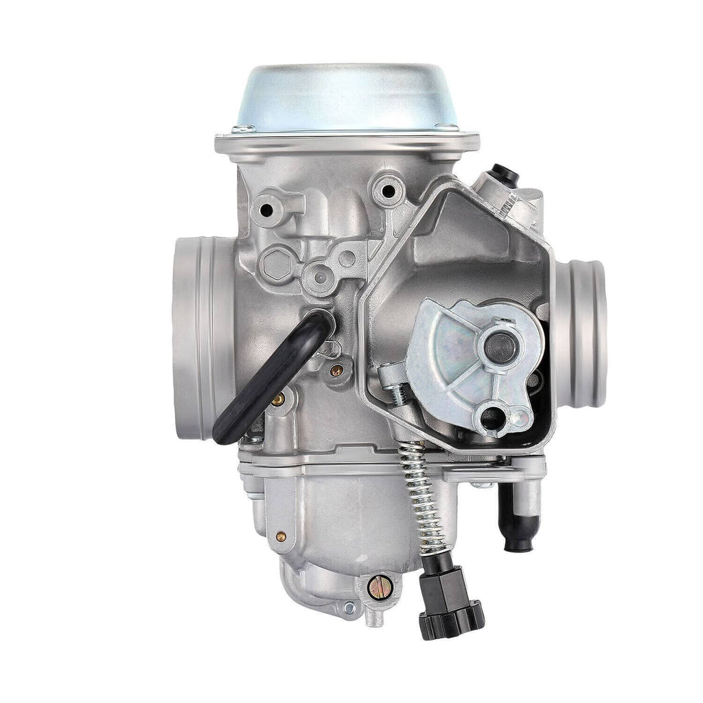 Carburetor assembly from front with choke lever, spring linkage, and fuel line