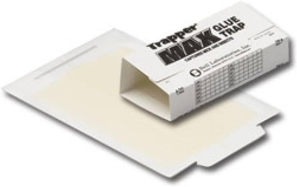 White glue trap boards with folded tray base shown in packaging